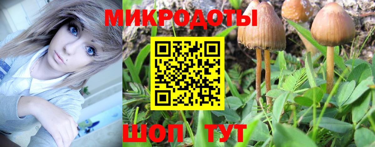 Галлюциногенные грибы прущие грибы Балаково